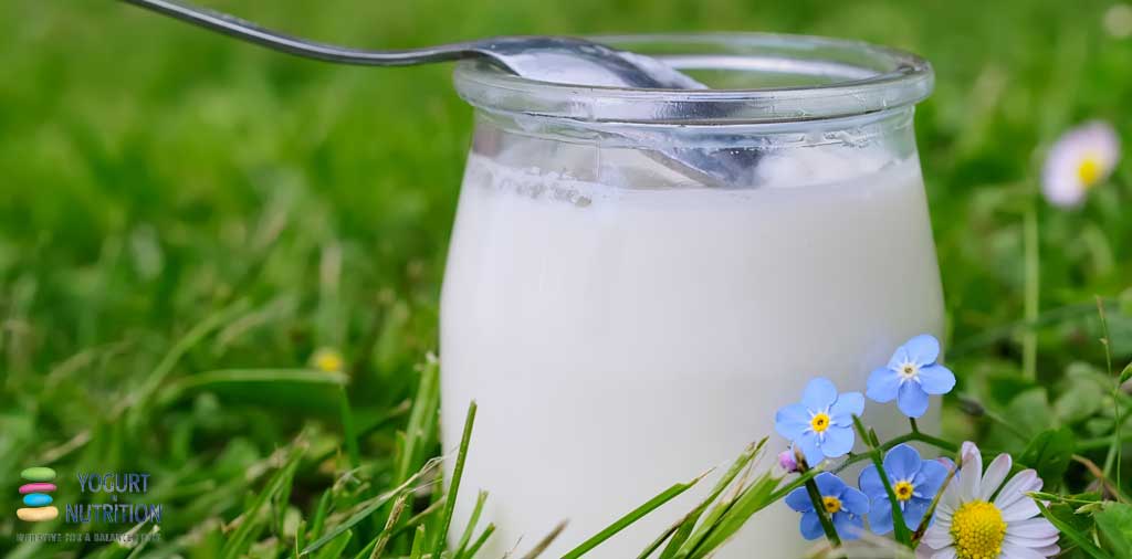 dairy products are nutrient-rich, affordable and appealing