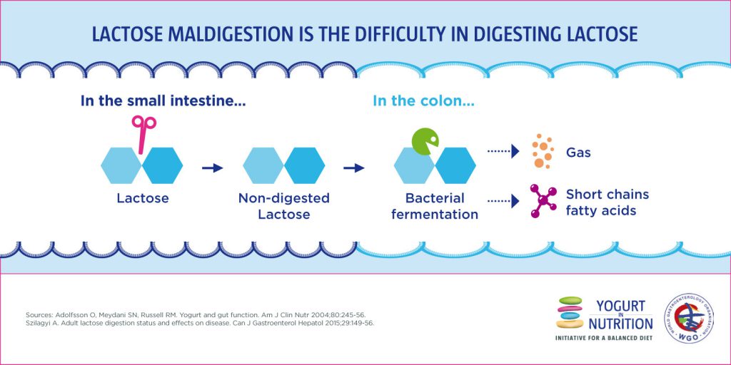 lactose-wgo