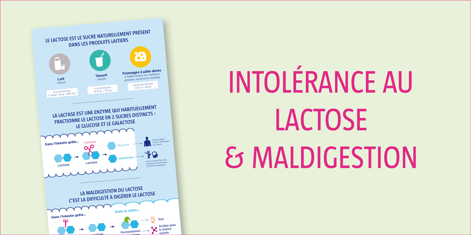 intolérance-lactose-maldigestion