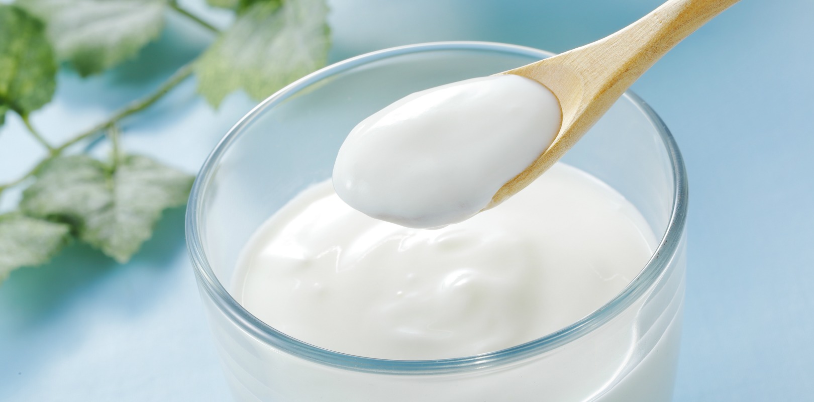 yogurt-health-diet-lactose