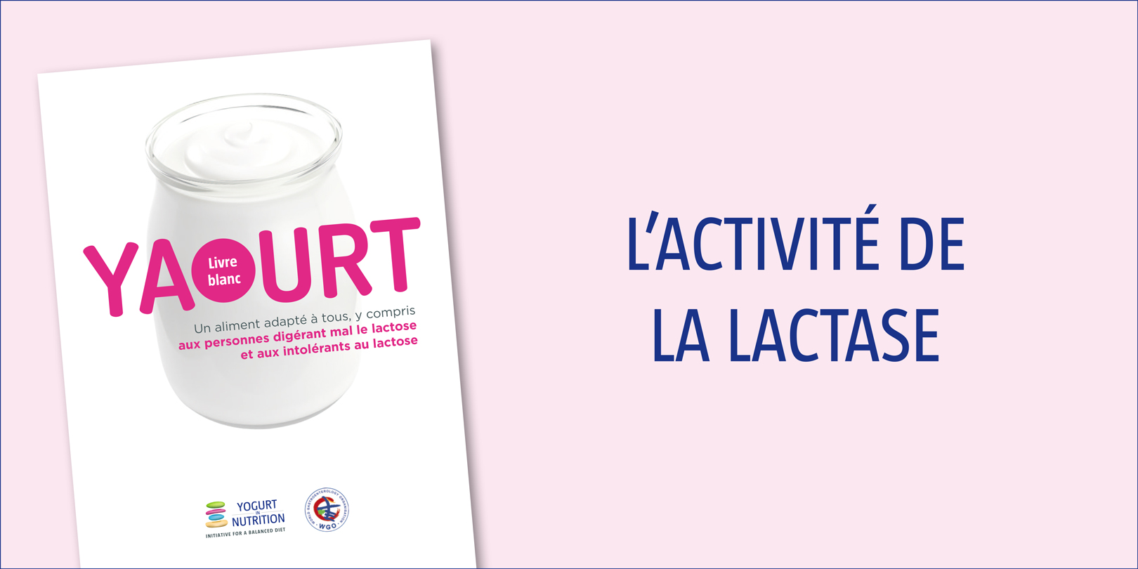 lactivite-de-la-lactase