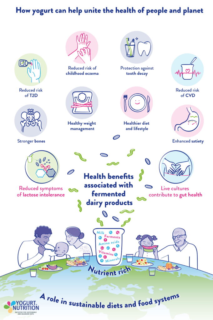 Health benefits associated with dairy fermented foods - YINI