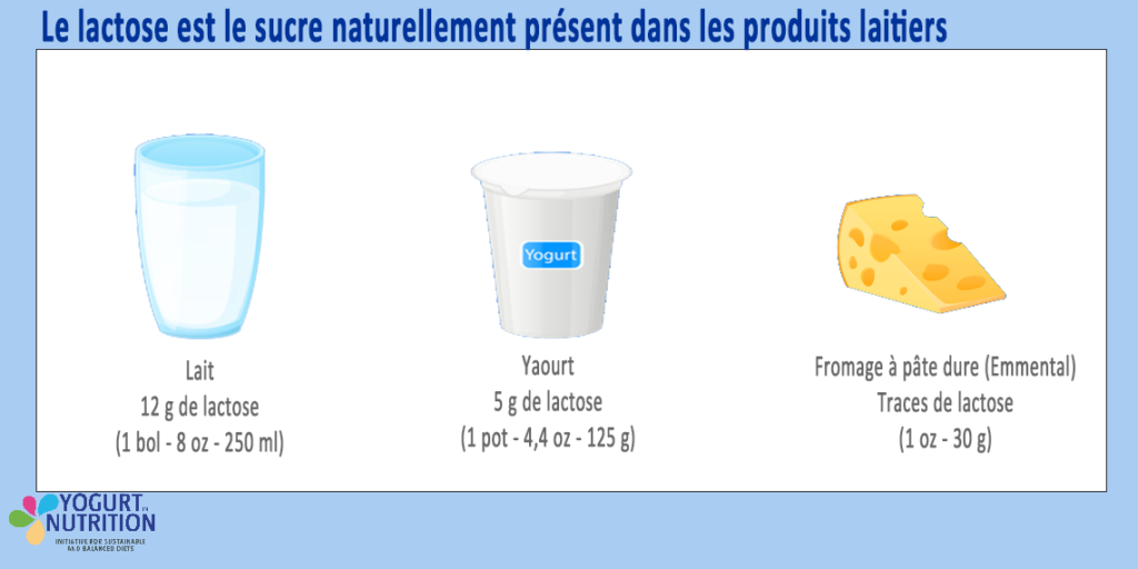 Le lactose dans les produits laitiers - YINI