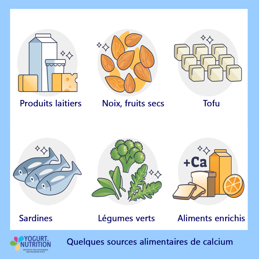 Quelles sources alimentaires pour le calcium - YINI