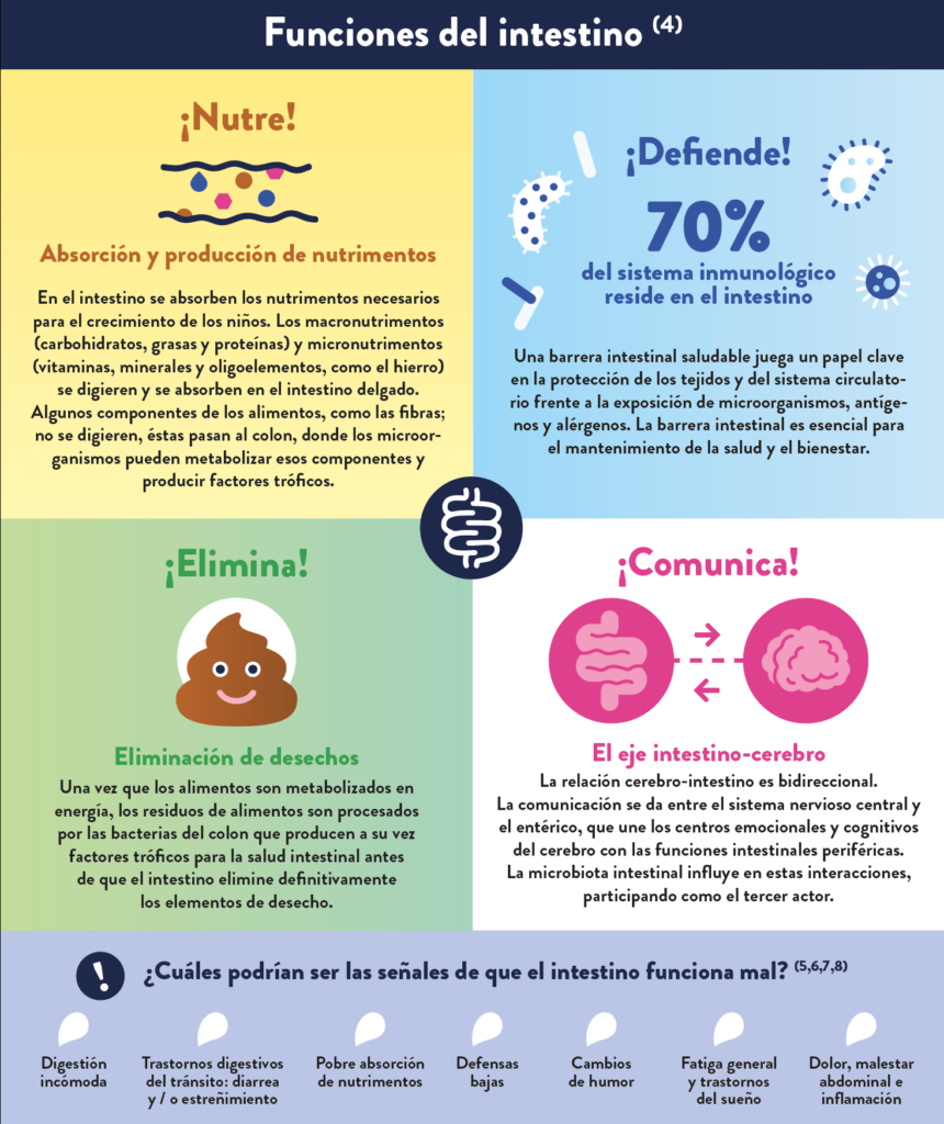 Salud digestiva infantil - part 2