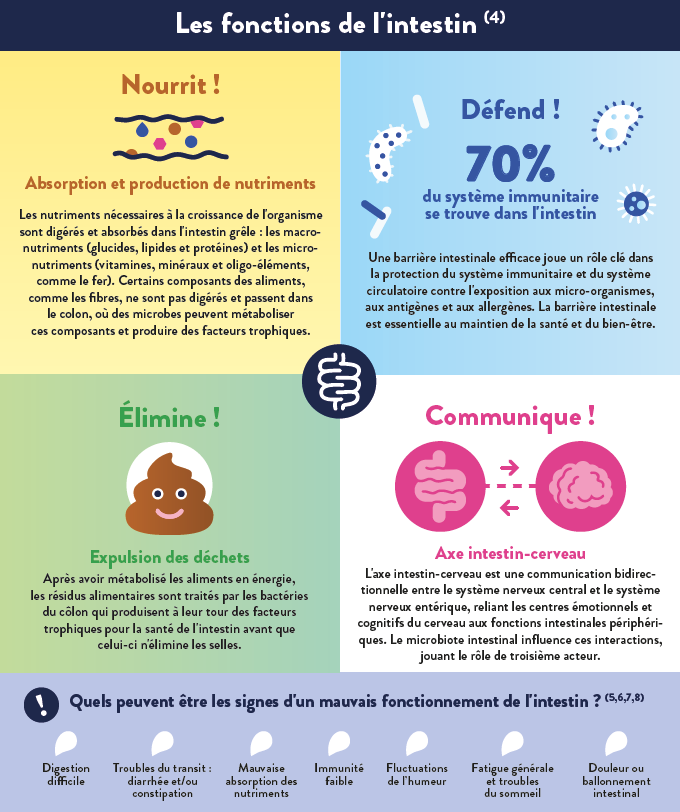 Santé intestinale de l'enfant - part 2 - yaourt et nutrition