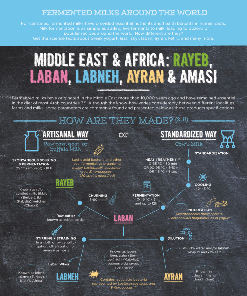 Fermented milk of the world: rayeb, laban - part 1