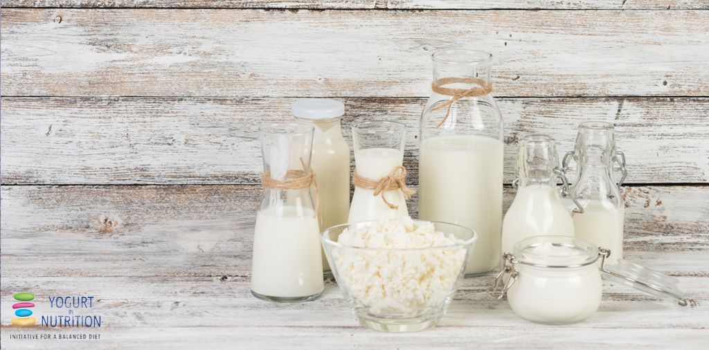 Look back in 2019 - fermented milks around the world and benefits