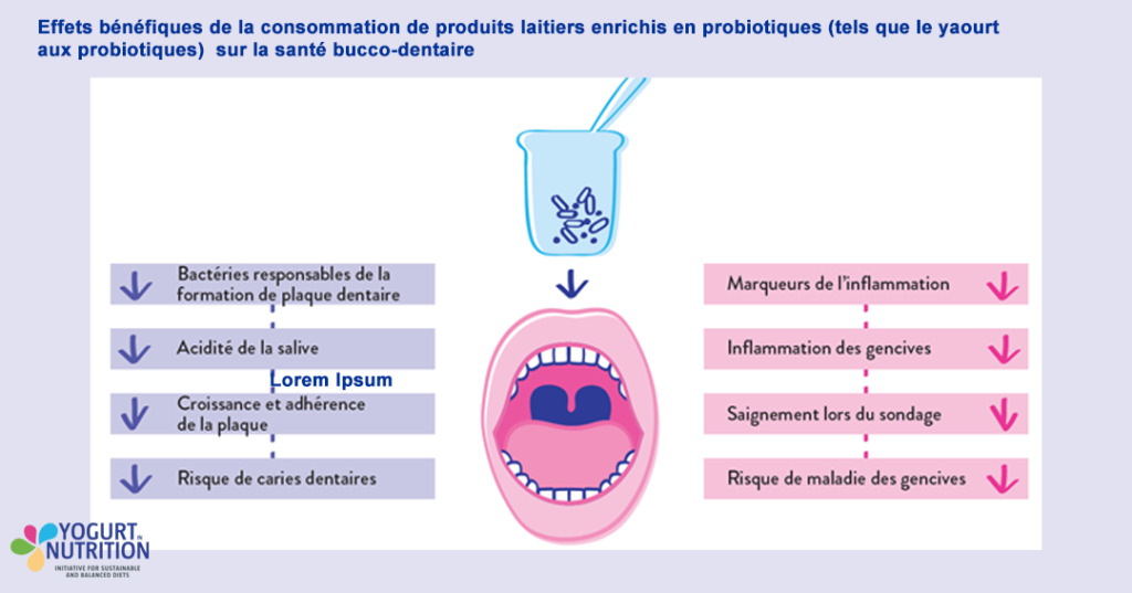 Effets des probiotiques et yaourt sur la santé dentaire